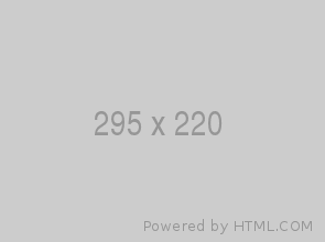 Equality and solidarity